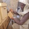 ⁦شمع الأساس⁩ - الصورة ⁦3⁩